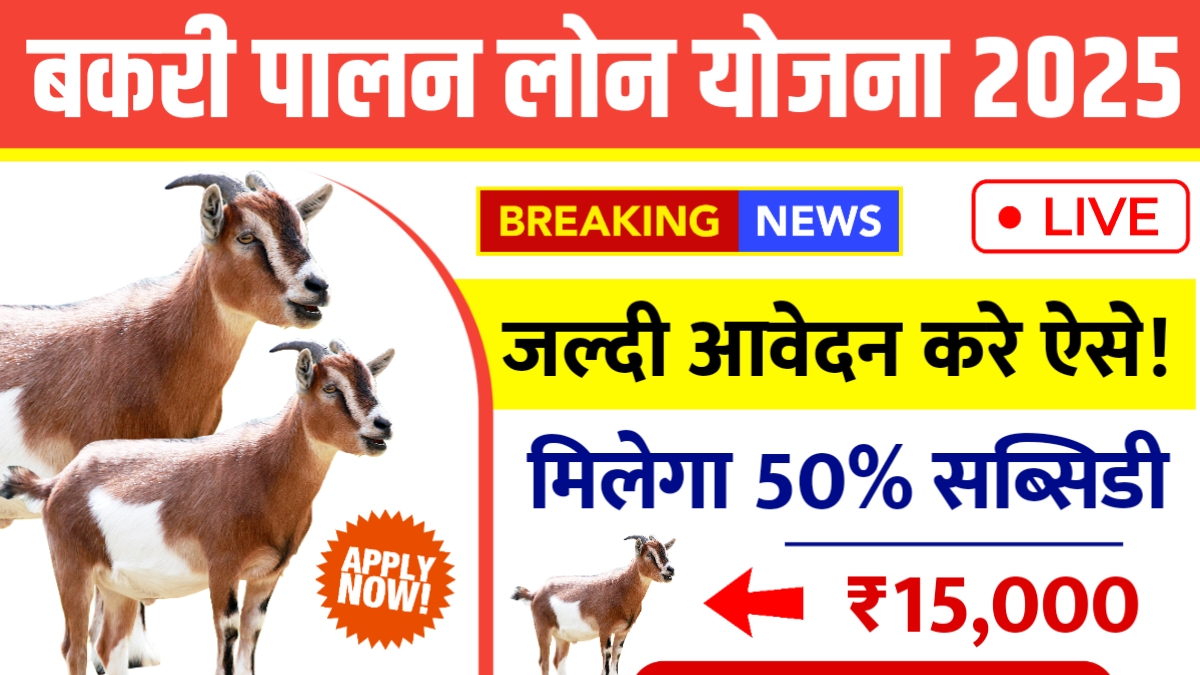 Bakri Palan Farm Yojana 2025